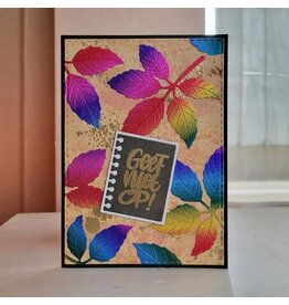 Kaart - Geef niet op!