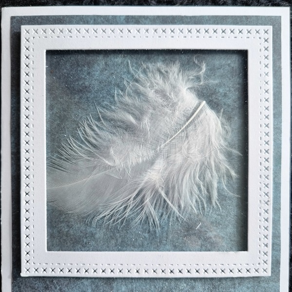 Wenskaart - witte veer