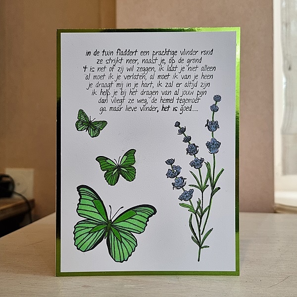 Wenskaart - Ga maar lieve vlinder