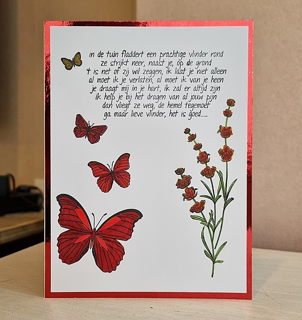 Wenskaart - Ga maar lieve vlinder