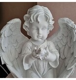 Beeld engel met vogel in de hand (prijs per stuk!)