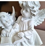 Beeld twee engeltjes met boek