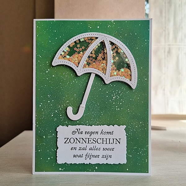 Wenskaart - Paraplu (schudkaart)
