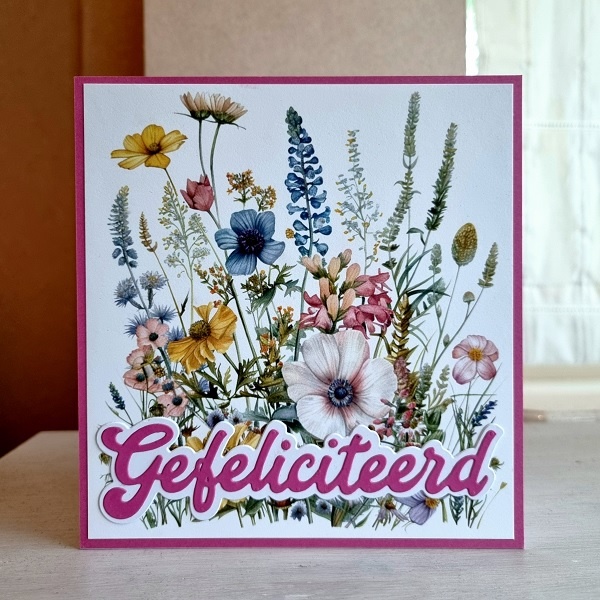 Wenskaart - Gefeliciteerd (bloemenveld)
