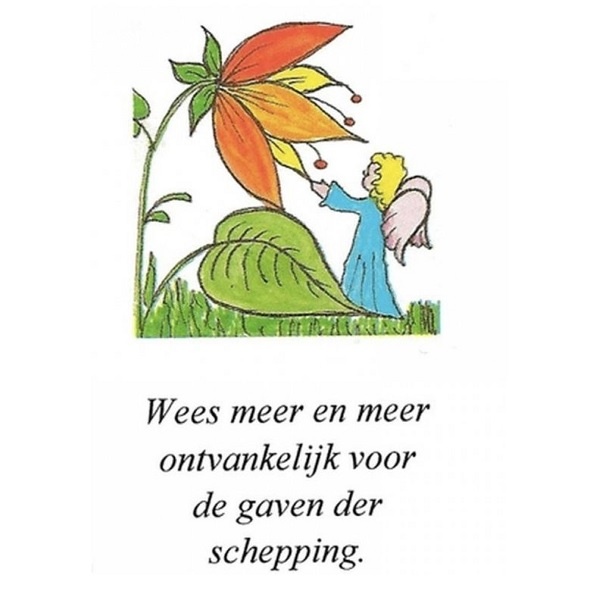 Angel Power affirmatiekaartjes (nederlands!)
