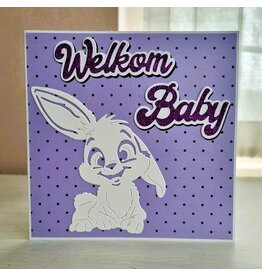 Kaart -  Welkom baby