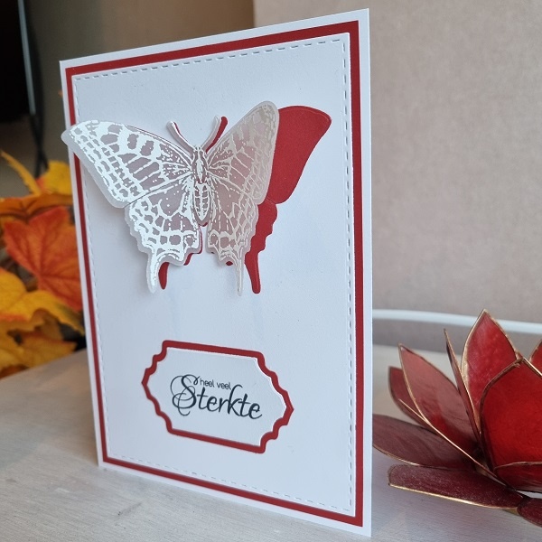 Wenskaart vlinder - heel veel sterkte