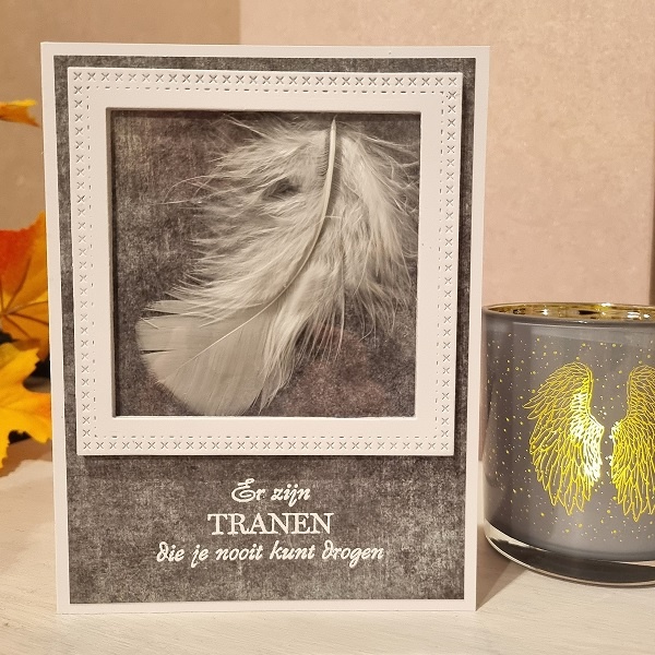 Wenskaart - witte veer