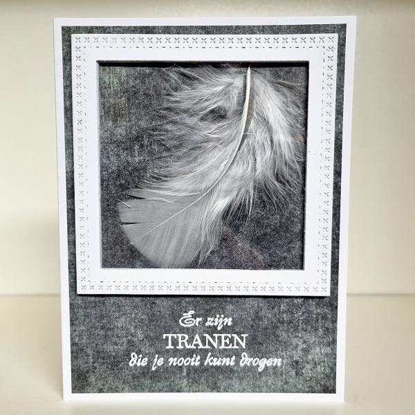 Wenskaart - witte veer