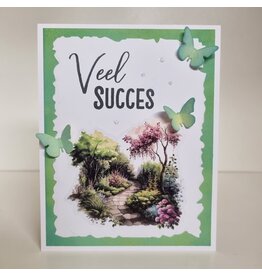 Kaart - Veel succes
