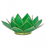 Lotus kaarshouder - groen (gevallen engeltje)