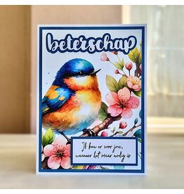 Kaart - Vogels (met mooie teksten)