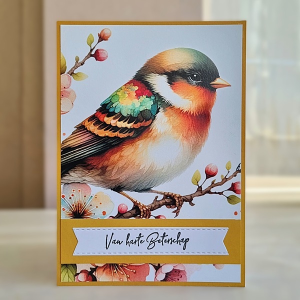 Wenskaart - Vogels (met mooie teksten)