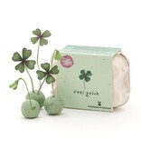 Veel geluk! Klavertje zaadbommetjes in eierdoosje