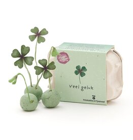 Veel geluk! Klavertjes in eierdoosje