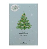 Jouw kerstboom in 2030 met sparrenzaad