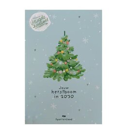 Jouw kerstboom in 2030 met sparrenzaad