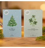 Jouw kerstboom in 2030 met sparrenzaad