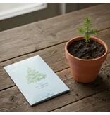 Jouw kerstboom in 2030 met sparrenzaad