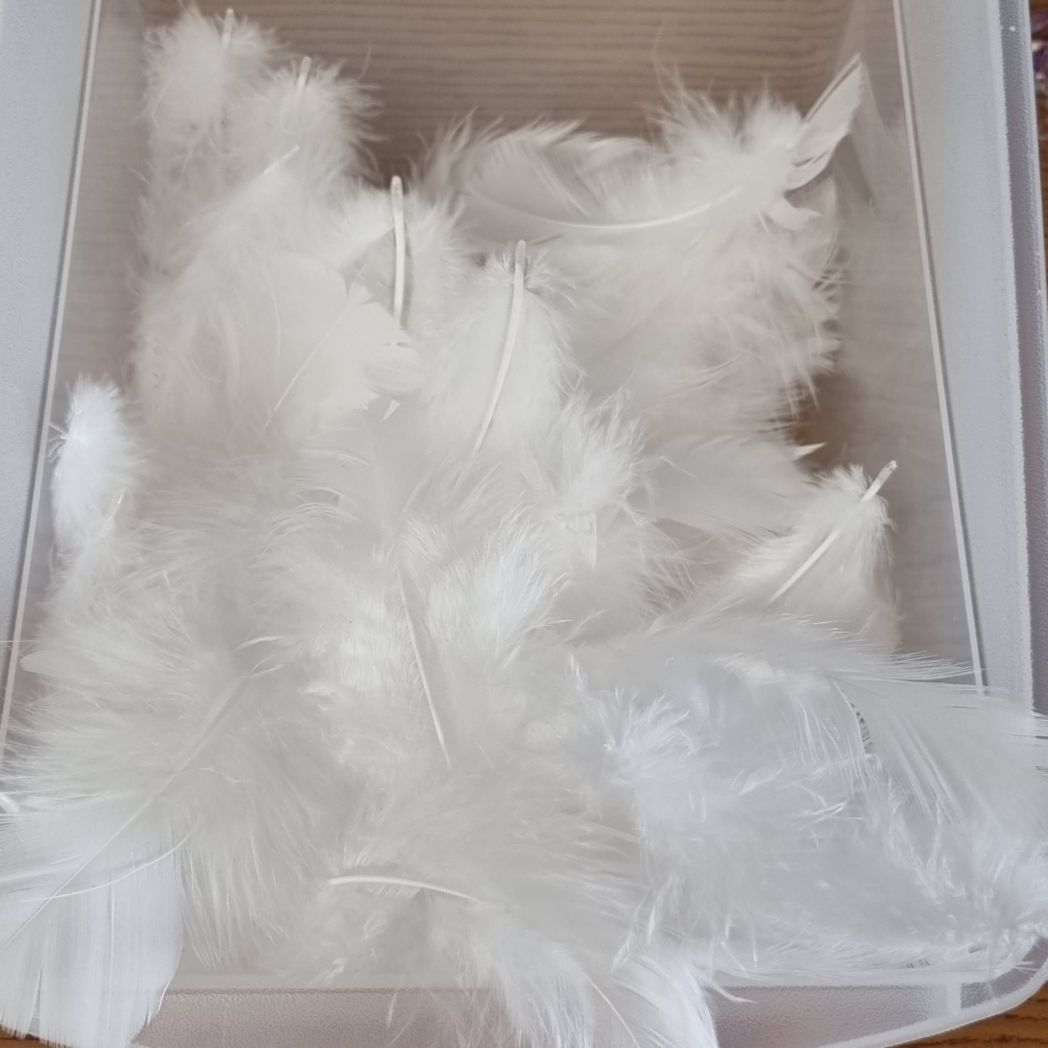 onze witte 'engelen-veertjes'