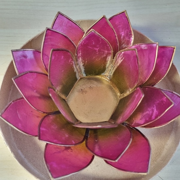 Lotus kaarshouder - groen/roze (gevallen engeltje)
