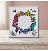 Wenskaart - Regenboog vlinders