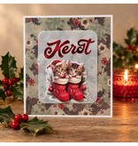 Kerstkaart - kittens in kerstsokken