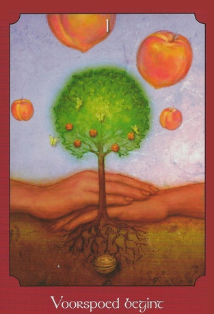 De paranormale kracht van tarot (kaarten + boek)