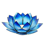 Lotus kaarshouder - licht/donkerblauw (tweekleurig)