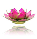 Lotus kaarshouder - groen/roze (tweekleurig)