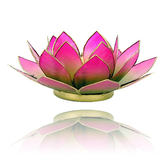 Lotus kaarshouder - groen/roze (tweekleurig)