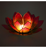 Lotus kaarshouder - groen/roze (tweekleurig)