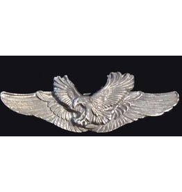 Eagle wings pin