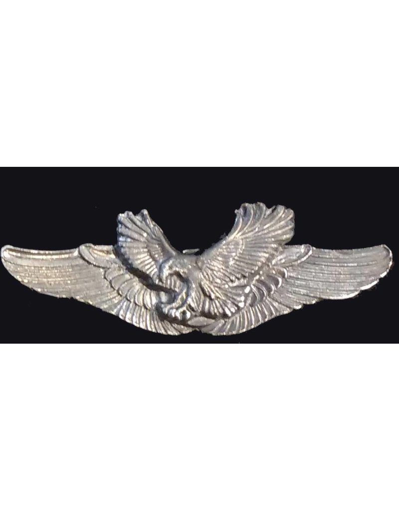 Eagle wings pin