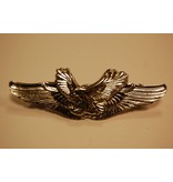 Eagle wings pin