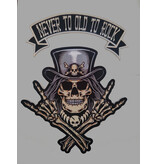 Badgeboy Never to old to Rock skull Patch