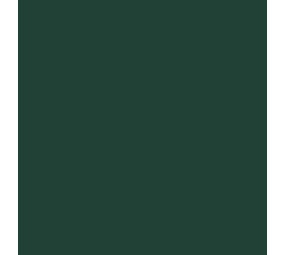 Siser Flexfolie EasyWeed ™ Dark Green Siser Flexfolie EasyWeed ™ Dark Green