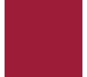 Siser Flexfolie EasyWeed ™ Burgundy Siser Flexfolie EasyWeed ™ Burgundy