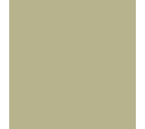 Siser Flexfolie EasyWeed ™ Sand Siser Flexfolie EasyWeed ™ Sand