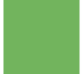 Siser Flexfolie EasyWeed ™ Apple green Siser Flexfolie EasyWeed ™ Apple green