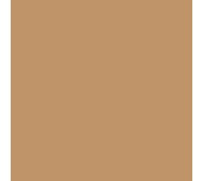 Siser Flexfolie EasyWeed ™ Tan Siser Flexfolie EasyWeed ™ Tan