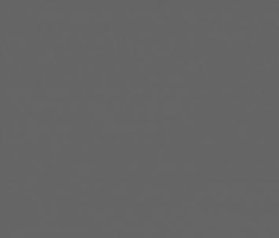 Ritrama Vinyl Charcoal (G) Ritrama Vinyl Charcoal (G)