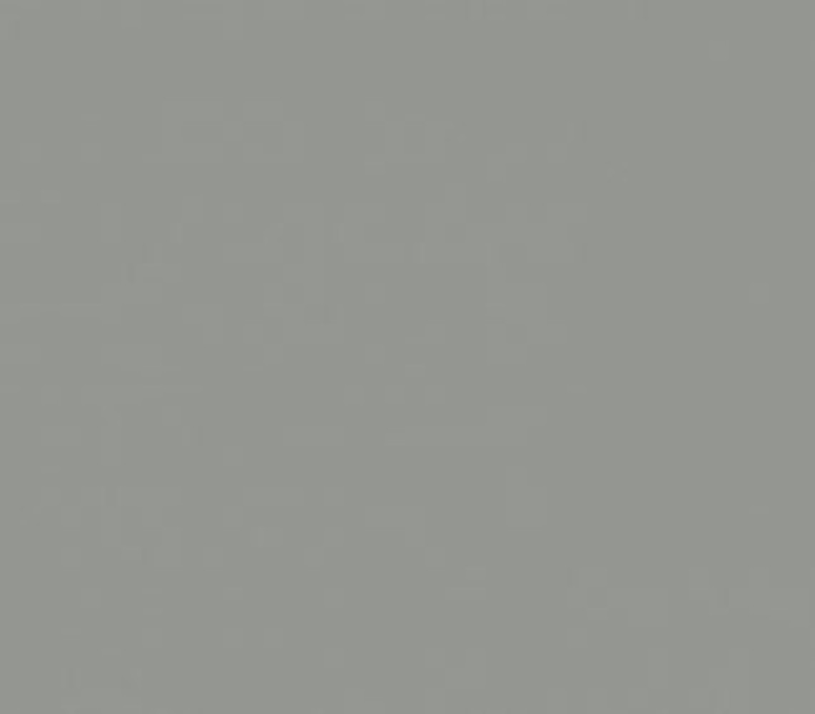 Ritrama Vinyl Grey (G) Ritrama Vinyl Grey (G)