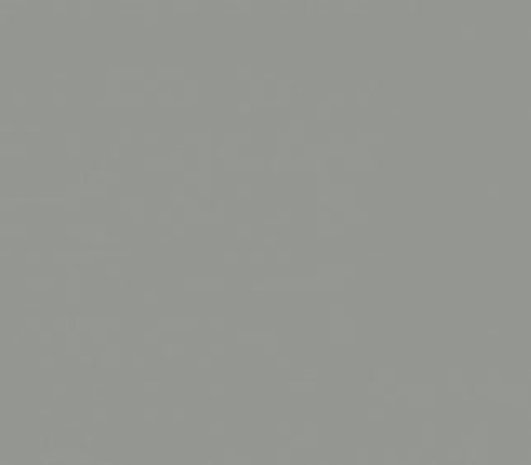 Ritrama Vinyl Grey (G) Ritrama Vinyl Grey (G)