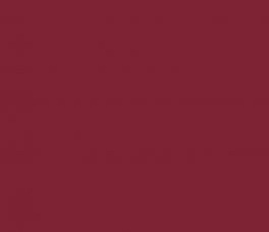 Ritrama Vinyl Burgundy (G)