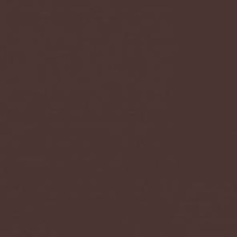 Ritrama Vinyl Brown (G) Ritrama Vinyl Brown (G)