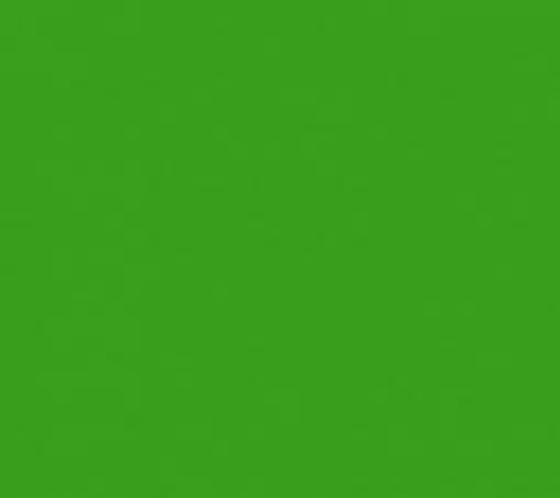 Ritrama Vinyl Grass Green (G) Ritrama Vinyl Grass Green (G)
