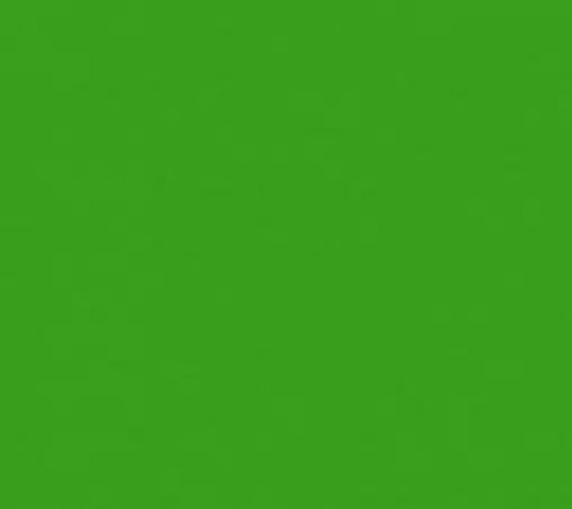 Ritrama Vinyl Grass Green (G) Ritrama Vinyl Grass Green (G)