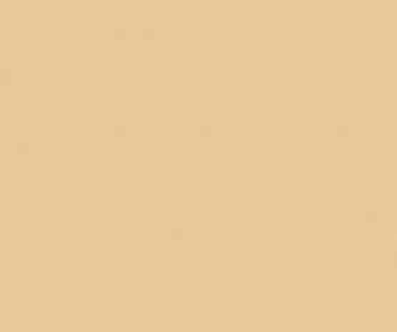Ritrama Vinyl Beige (M) Ritrama Vinyl Beige (M)