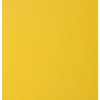 Vinyl Bright Yellow (M)